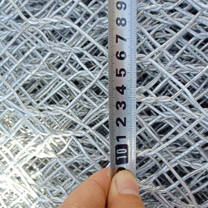 High quality hot dipped galvanized welded wire mesh rolls for construction application