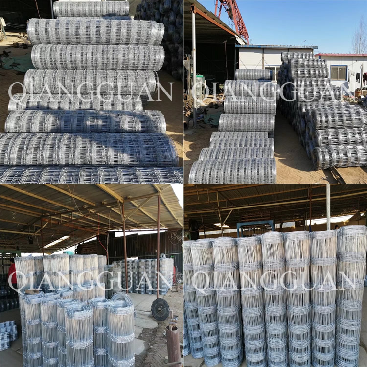 Hot Dipped Galvanized Field Fence Cattle Wire Fencing 50m 100m