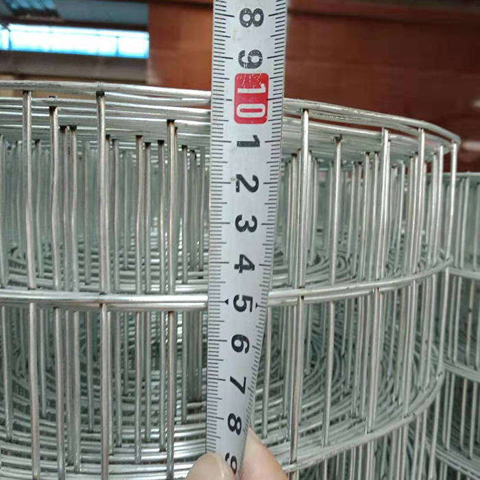 High quality 1/4'' aperture and galvanized iron wire material galvanized welded wire mesh